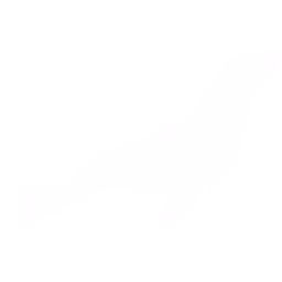 MariaDB